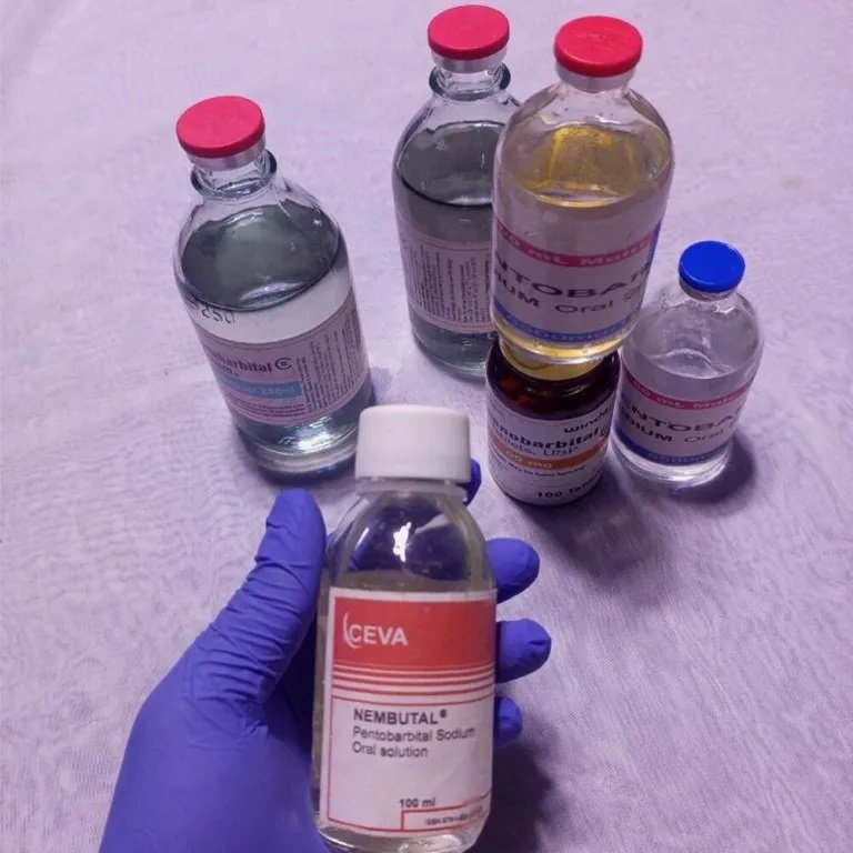 Nembutal pentobarbital Oral Solution