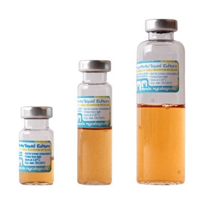 Liquid Psilocybin 100ML (Magic Mushrooms)